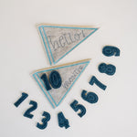 Baby Milestone Pennants