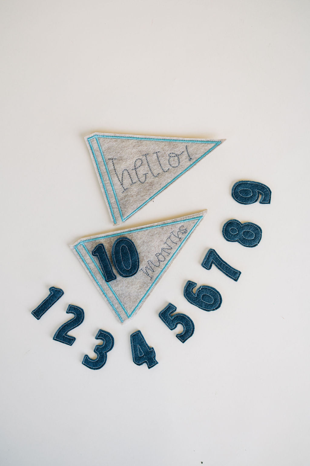 Baby Milestone Pennants