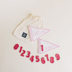 Baby Milestone Pennants