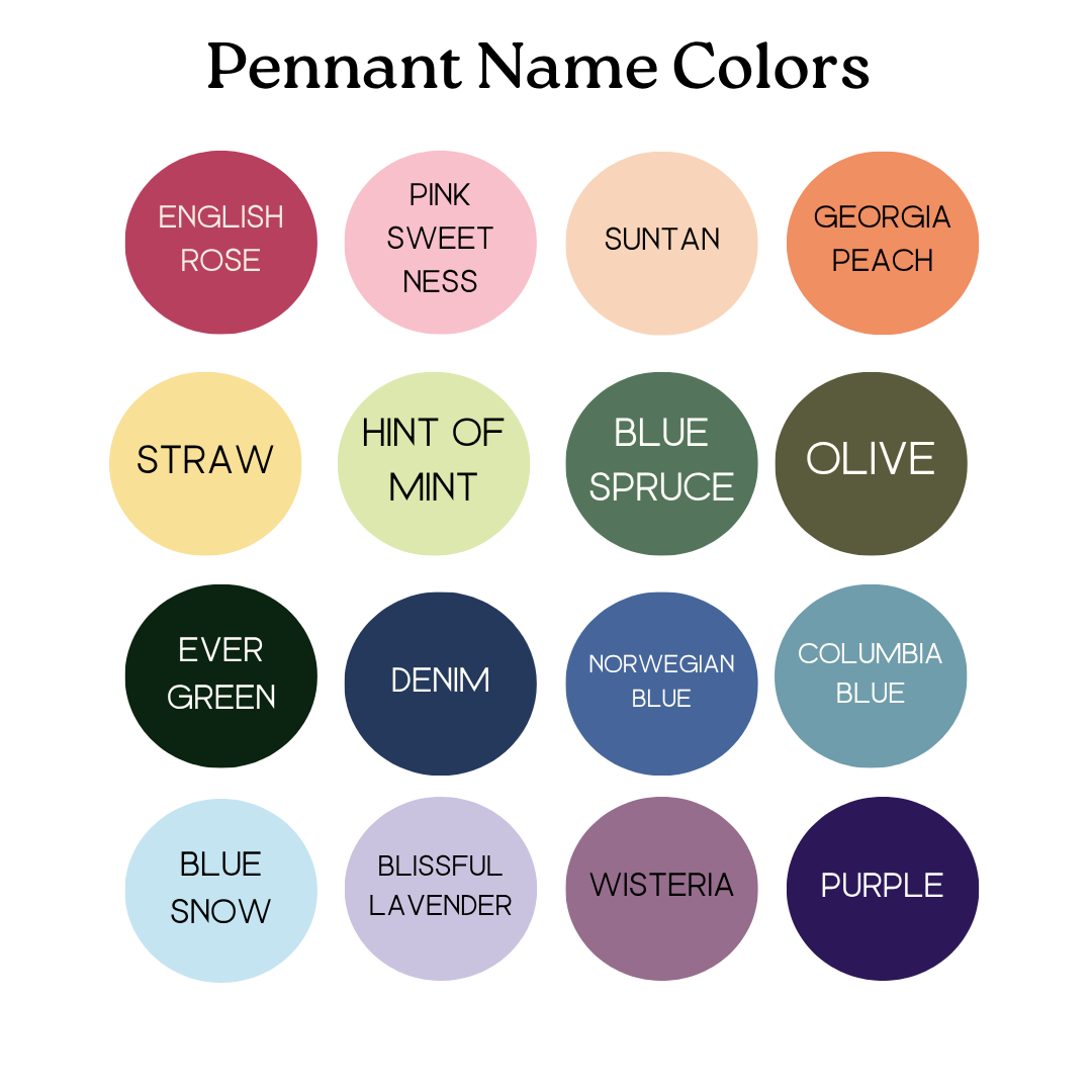 Baby Milestone Pennants