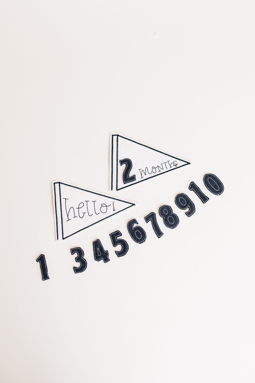 Baby Milestone Pennants