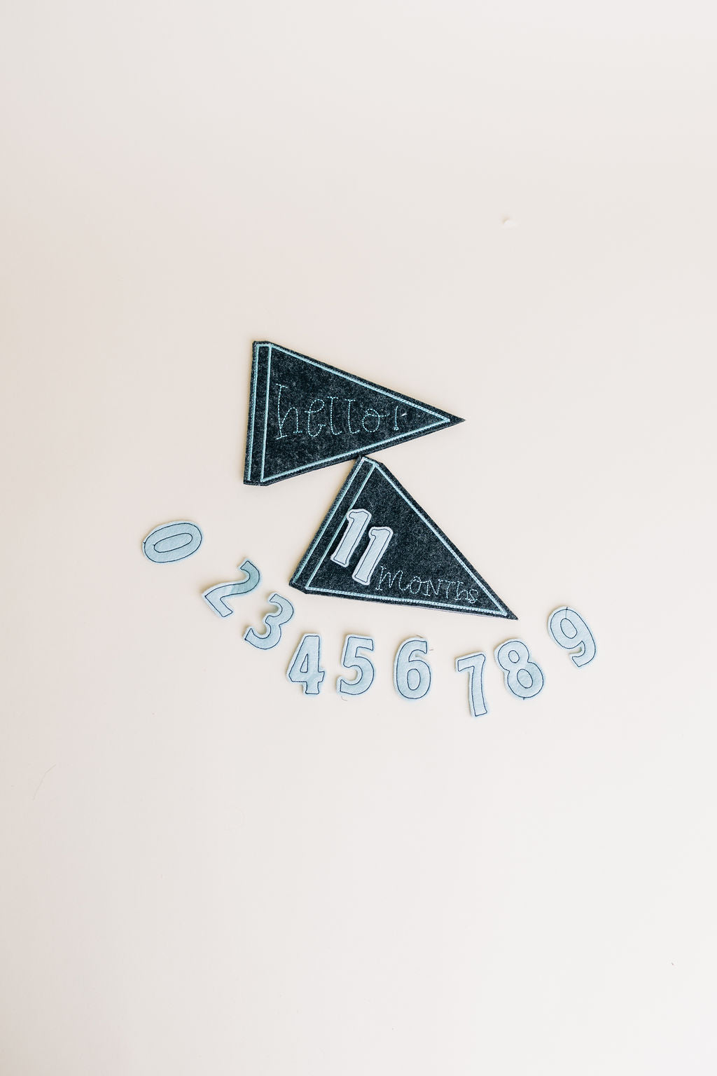 Baby Milestone Pennants